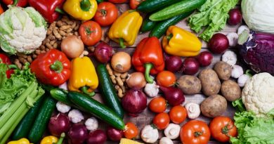 Deset nedávných studií, kterým by měli ne-vegané věnovat svoji pozornost