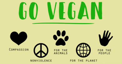 Pozvánka na Veggie Parade 2017