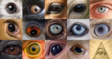 Kolik koní ještě žokej Josef Bartoš zabije, než na nich přestane závodit? I&nbsp;takové lidé pokládají otázky