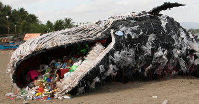 Doba plastová: Otevřený dopis restaurační síti UGO (revidováno)