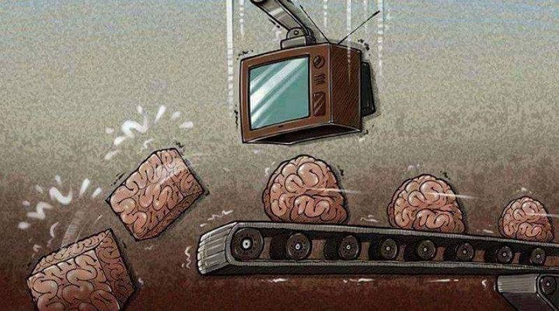 Televize mozky